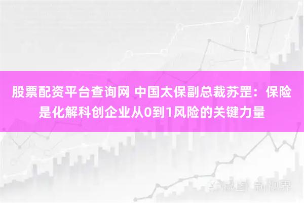 股票配资平台查询网 中国太保副总裁苏罡：保险是化解科创企业从0到1风险的关键力量