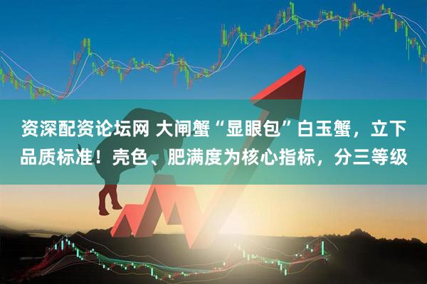 资深配资论坛网 大闸蟹“显眼包”白玉蟹，立下品质标准！壳色、肥满度为核心指标，分三等级